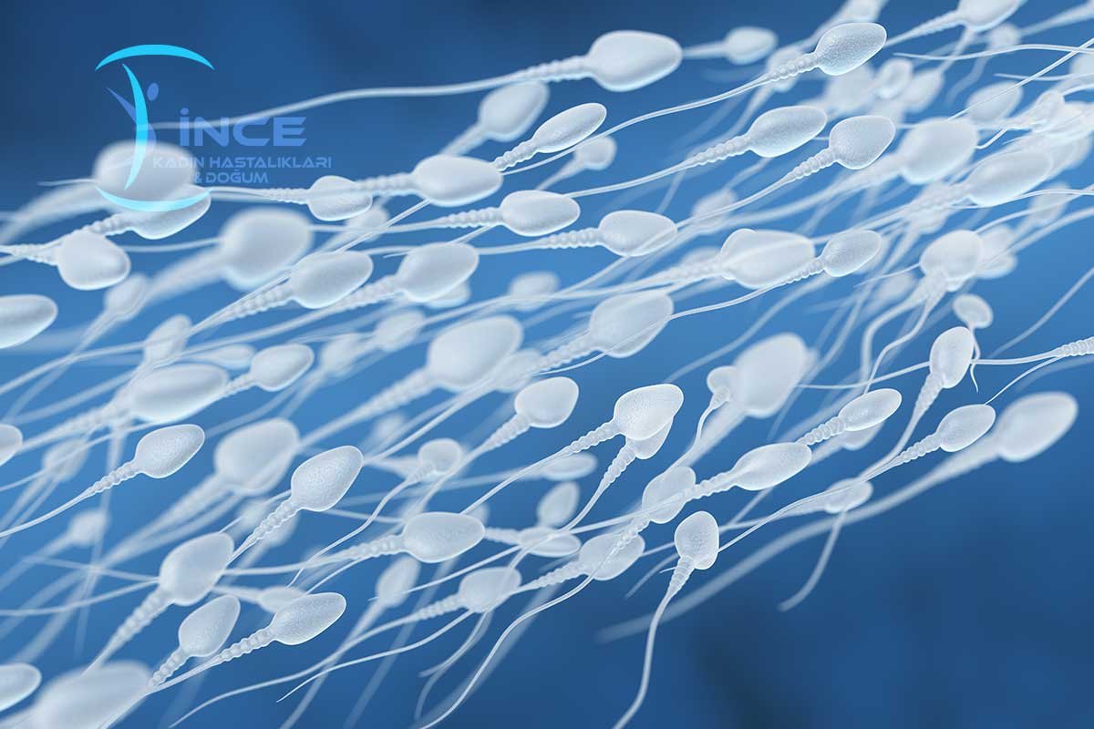 Azospermi