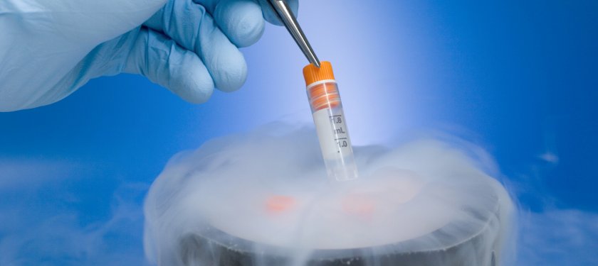 Yumurta Dondurma-Çocuk sahibi olma patansiyelini korumak