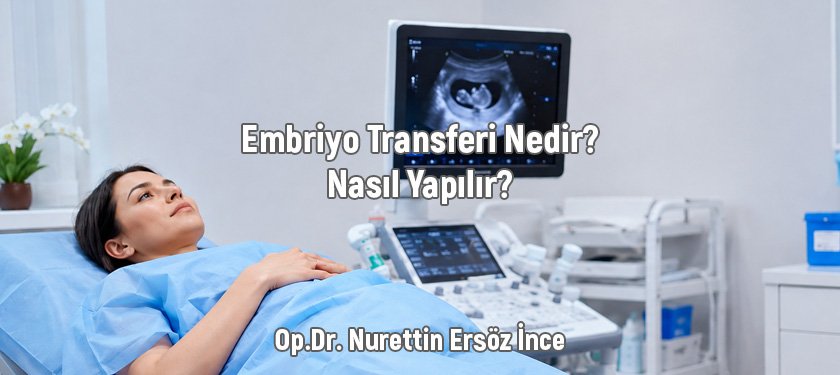 Embriyo Transferi Nedir? Nasıl Yapılır?