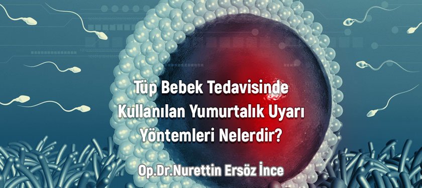 Tüp Bebek Tedavisinde Kullanılan Yumurtalık Uyarı Yöntemleri Nelerdir?